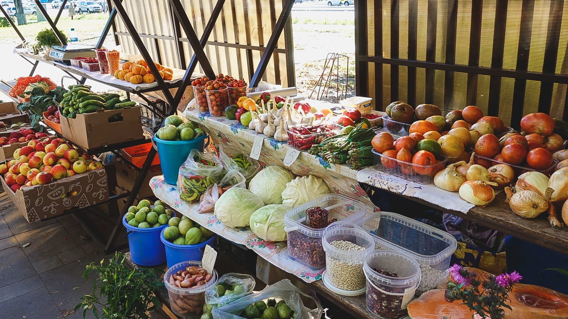 44 тонны зараженных фруктов завезли в Свердловскую область