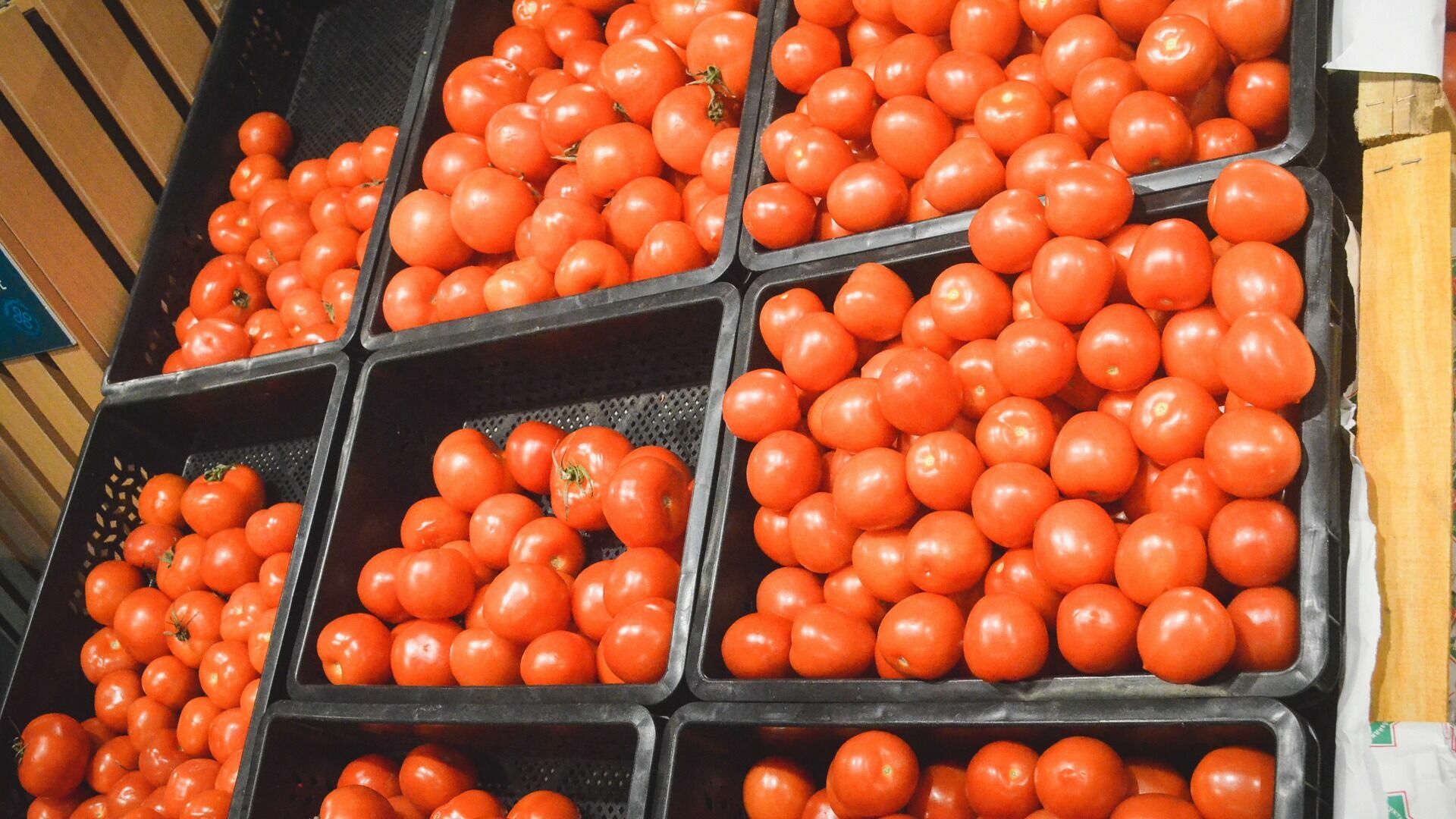 Зараженные томаты, лимоны и яблоки обнаружены в Свердловской области