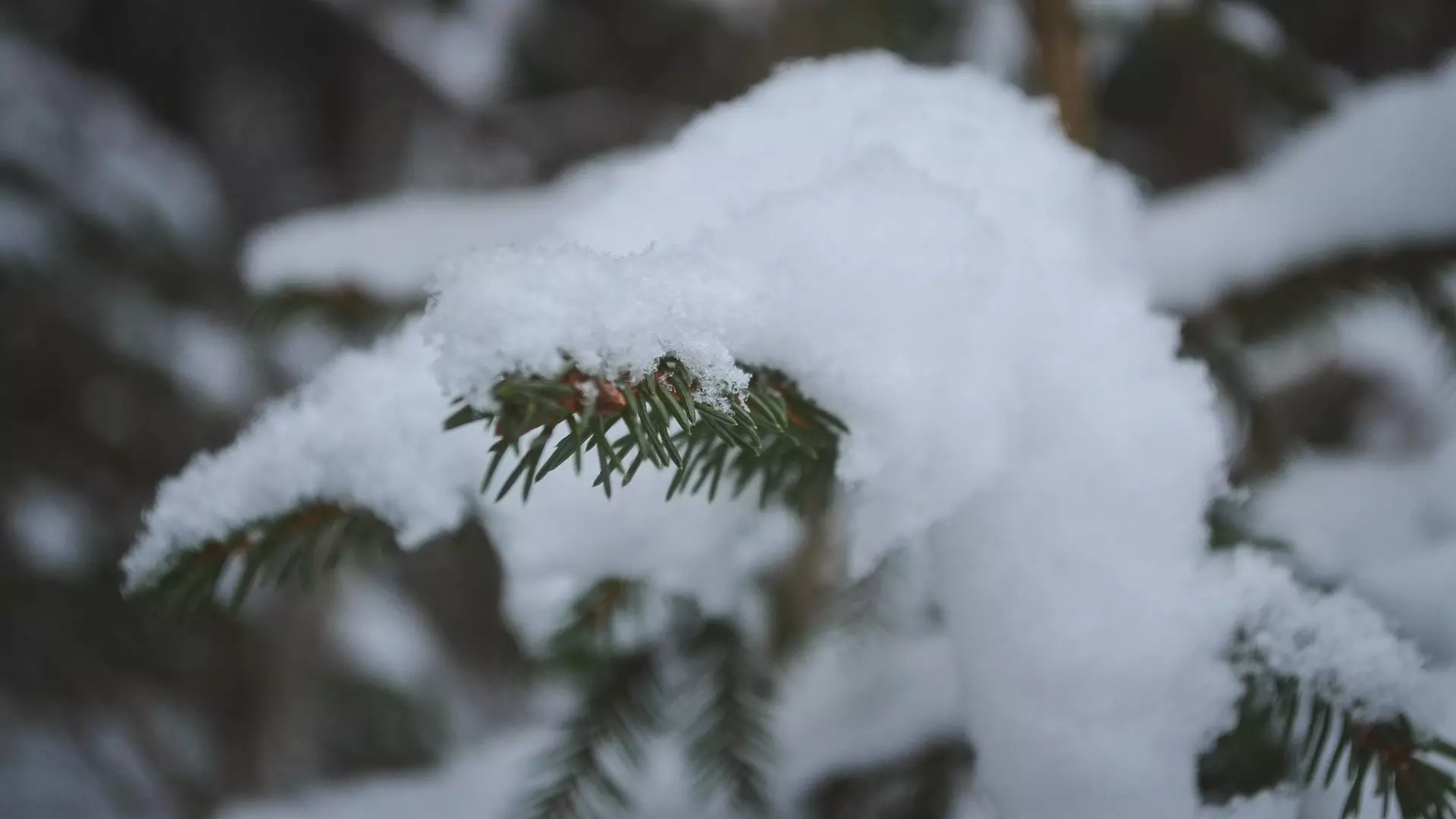 Три города Свердловской области засыпет снегом
