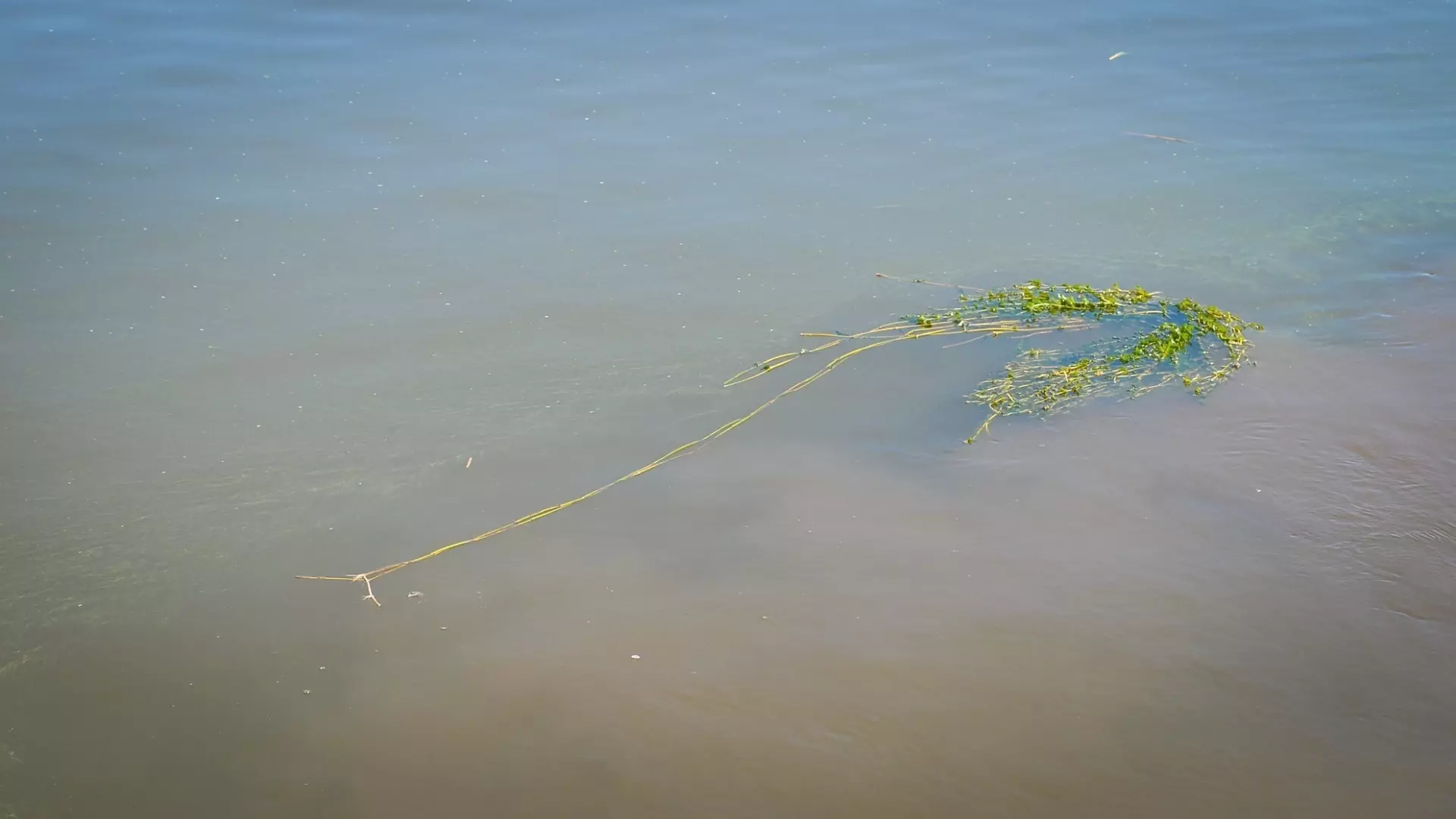 В Нижнем Тагиле планируют очистить от загрязнений реку Баранча