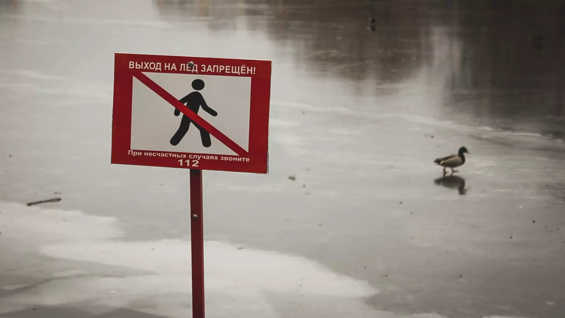Все ледовые переправы в Свердловской области закрыли