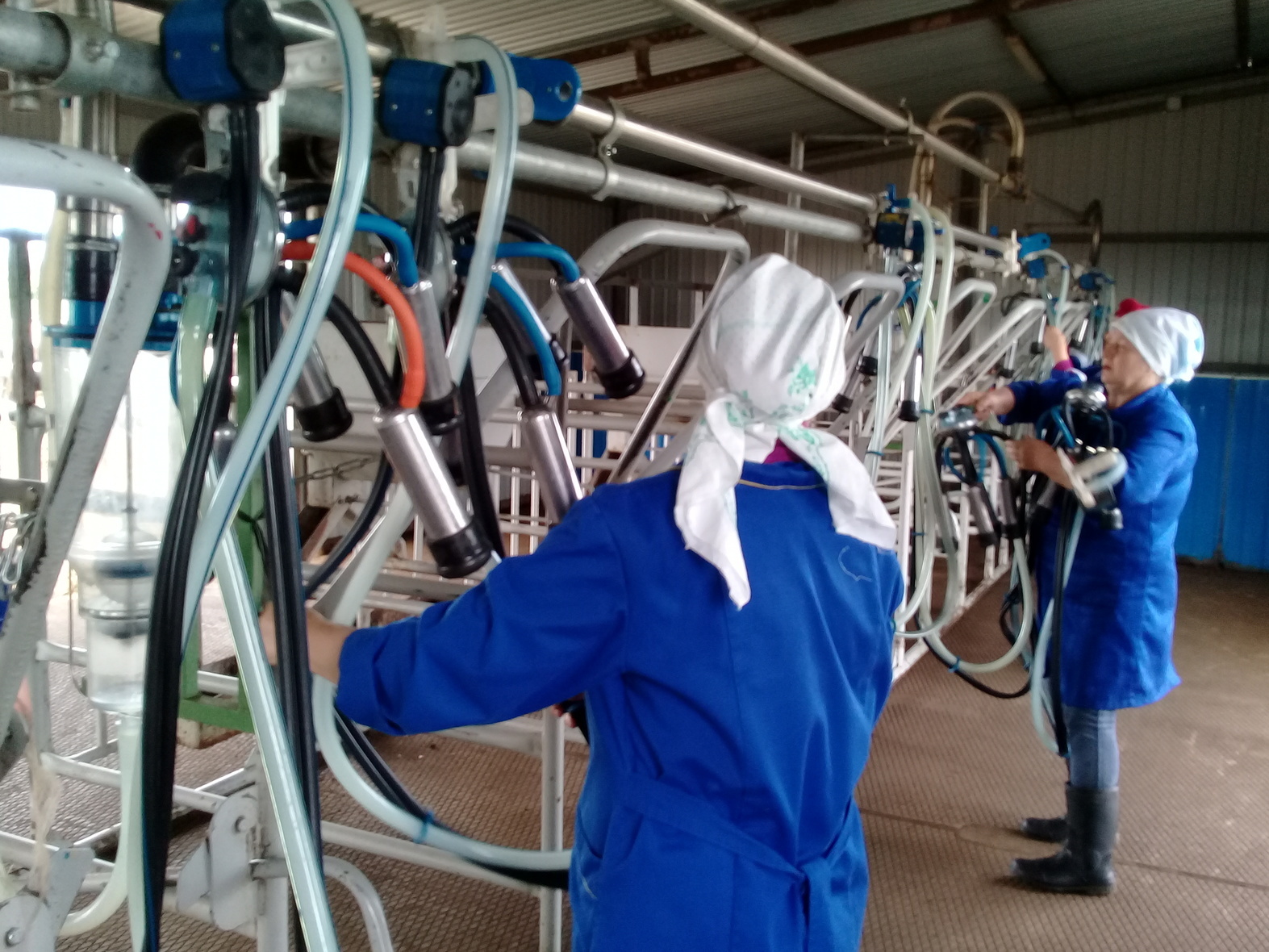 Молокозаводы в Свердловской области поднимут отпускные цены на продукцию