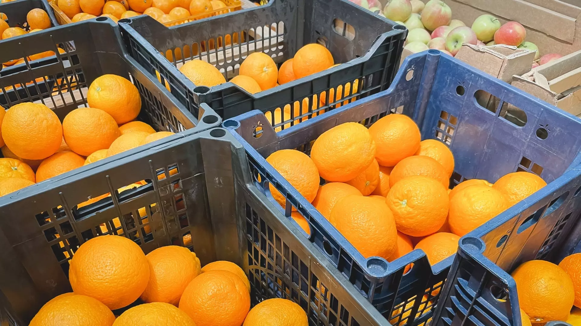 В Екатеринбург приедут тонны зараженных апельсинов из Турции